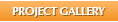 Project Gallery